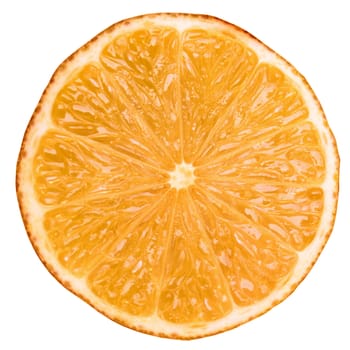 Orange citrus slice