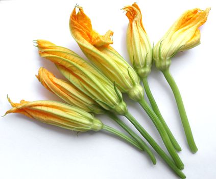 Courgette or Zucchini flowers