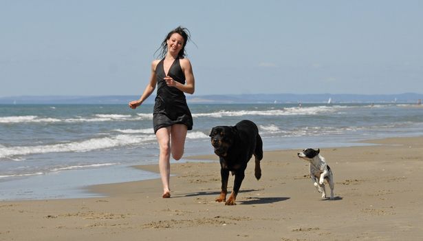 woman and her two dogs running on the beach