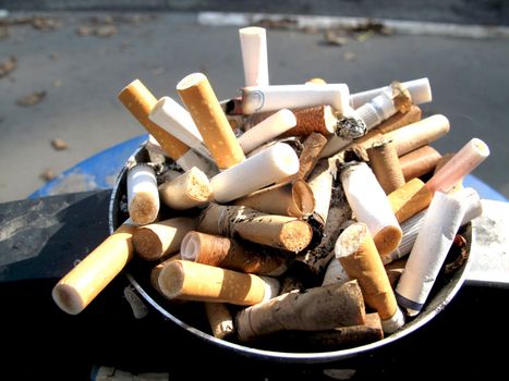  Cigaret stubs on the street ashtry taken as macro                             