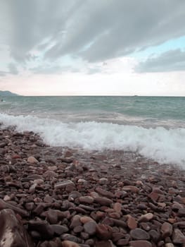  The Black sea coast, Russia. Taken on August 2010                            