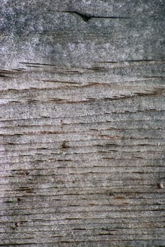Weathered board with grunge look for backgrounds