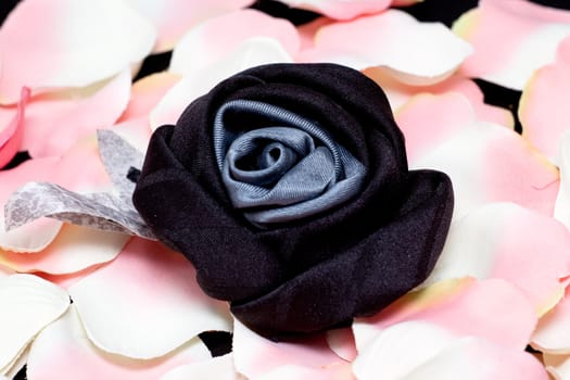 A black artificial rose on pink rose petals on black
