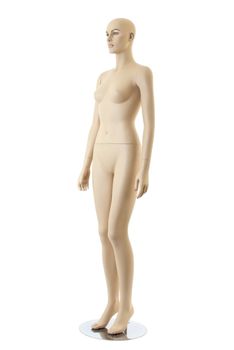 Naked anatomycal female mannequin. Isolated on white background