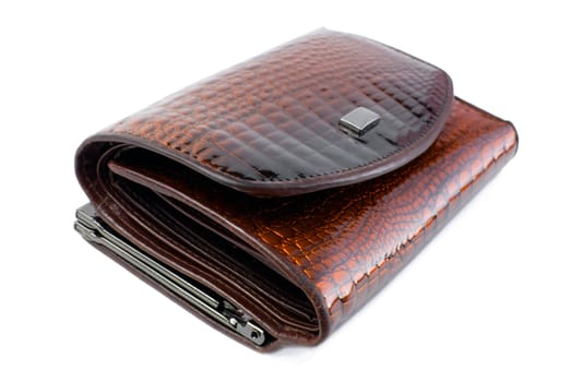 Brown leather female wallet. Isolated on white background