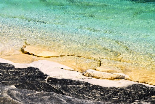 Rock and clear water at shore of Georgian Bay Ontario