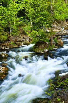 Water rushing among rocks in river rapids in Ontario Canada