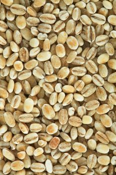 Pearl barley background photographing close up