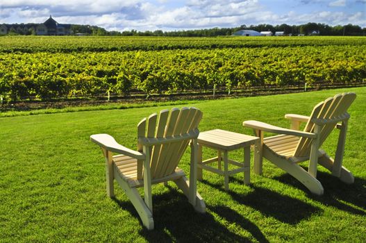 Muskoka chairs and table near vineyard at winery