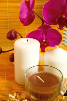 Orchids, candles and shells, spa concept
