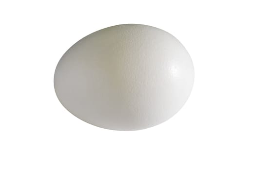 White chicken egg isolated on white with a clipping path.