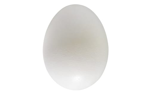 White chicken egg isolated on white with a clipping path.
