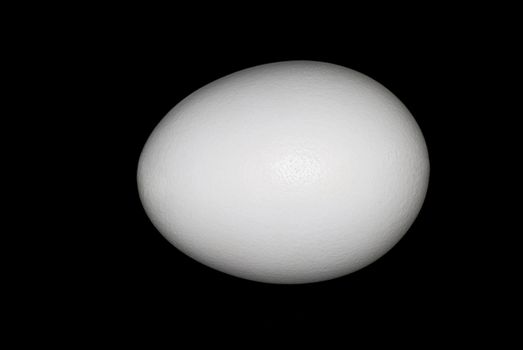 White chicken egg isolated on a black background.