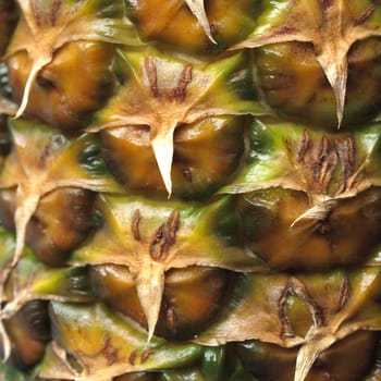 Close up pineapple ananas background