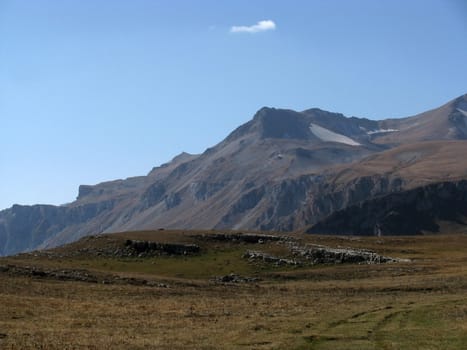 Europe; Russia; a file; flora; the Alpine meadows; a grass
