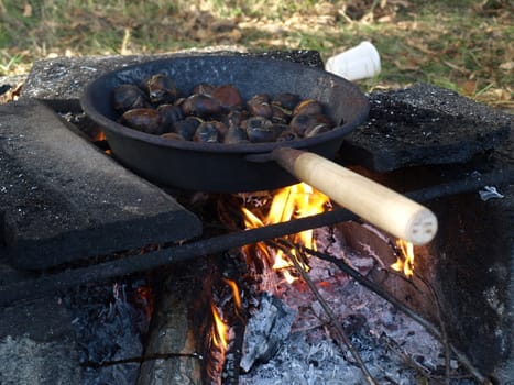 Barbecue or BBQ at picnic