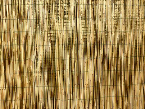 Bamboo fence or wall background