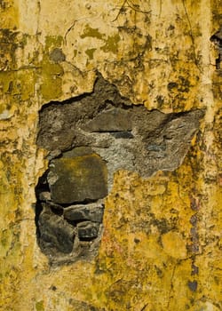 Closeup of an old wall taken on Madeira, Portugal.