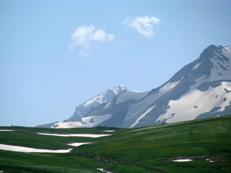 Europe; Russia; flora; the Alpine meadows, vegetation, a distance, summer, greens, flowering, plants, flowers