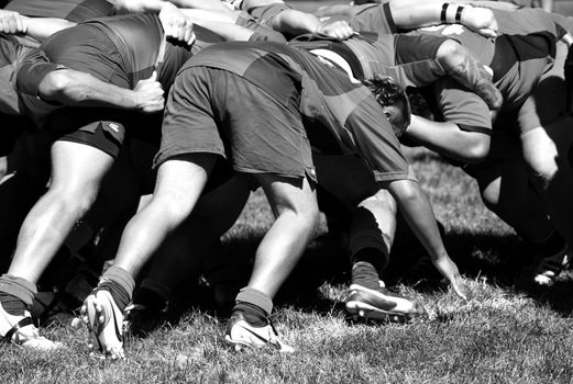 Men playing rugby union sport. New Zealand club Rugby