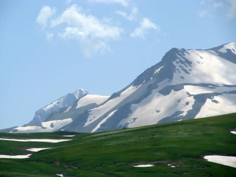 Europe; Russia; flora; the Alpine meadows, vegetation, a distance, summer, greens, flowering, plants, flowers