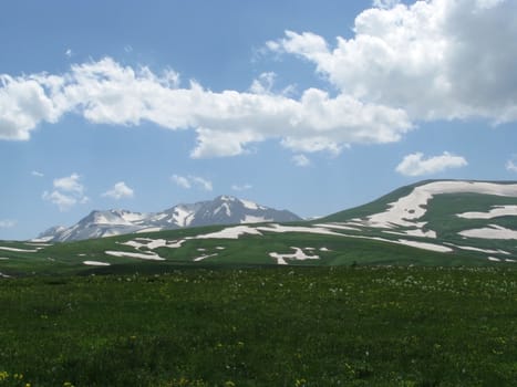 Europe; Russia; flora; the Alpine meadows, vegetation, a distance, summer, greens, flowering, plants, flowers