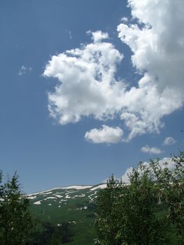 background; a route; the Europe; Russia; flora; the Alpine meadows; vegetation; a distance; summer; greens; flowering; plants; flowers