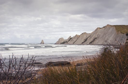 Cape Kidnappers is one of the largest mainland gannet colonies in the world. Cape Kidnappers is a 13 hectare reserve that includes the Saddle and Black Reef gannet colonies. It is located 15km east of Hastings, Hawkes Bay, New Zealand