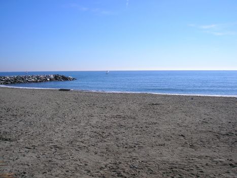 Shore beach by the sea with palm trees