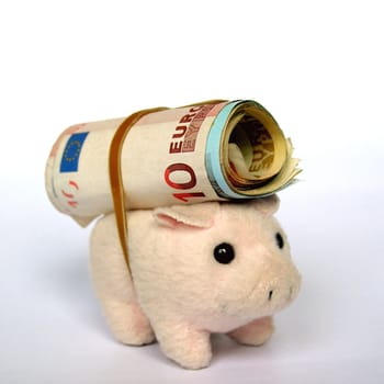 Pig with money