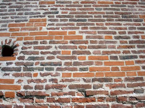 Wall of red bricks, English bond