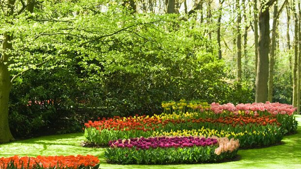 Green trees and colorful flowers in spring