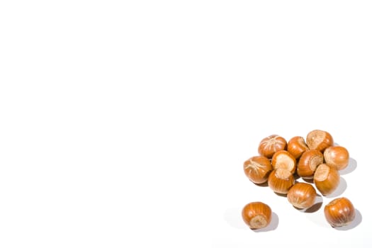 high key closeup of a small collection of hazelnuts on a white background