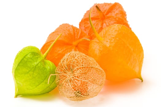 high key image of sevaral physalis fruits of different colours on a white background