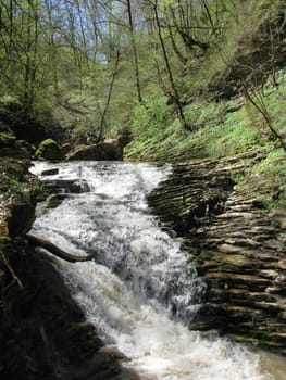 Falls; the river; a stream; water; a moisture; beauty; Caucasus