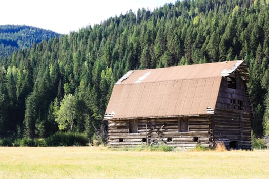 an old house in a forest meadow