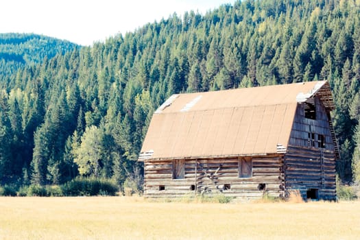 an old house in a forest meadow