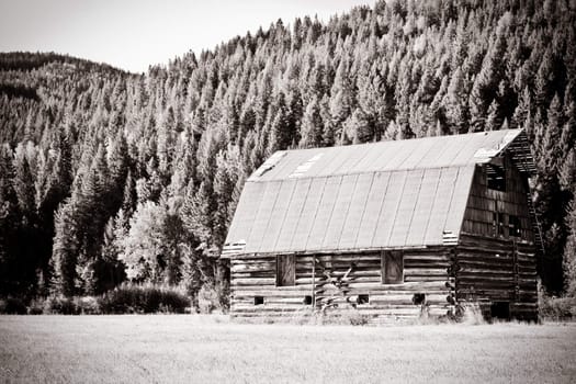 an old house in a forest meadow