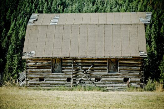 an old house in a forest meadow