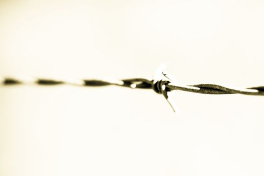 single thorn on a blur field