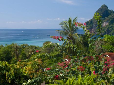 View from the top to the tropical garden