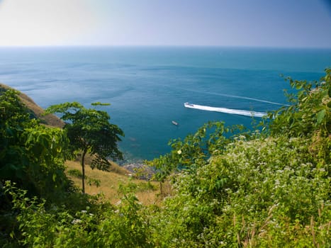View from the top to the sea through tropical forest