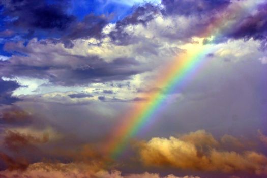 A perfect rainbow formed after a heavy Florida thunderstorm