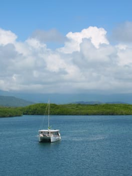 View along the coast of Port Douglas - Queensland, Australia.