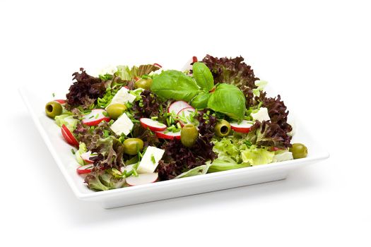 appetizing healthy salad on a plate