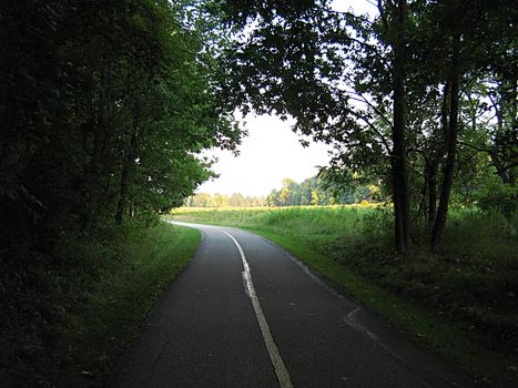 A photograph of a quiet walking trail.