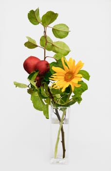 An autumn decoration with apples and sunflower. Isolated