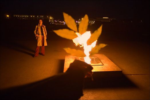 The leaf from a tree blazes against fire at night.