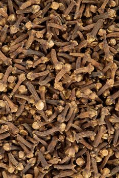 Brown small spice cloves background close up