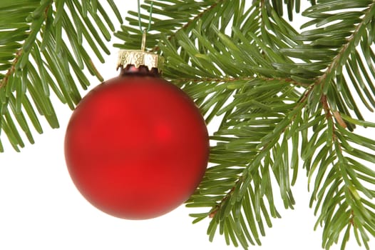 Christmas ball hanging in christmas tree